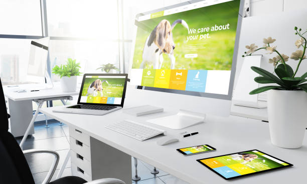 Philippines Web Development Company for Custom IT Solutions